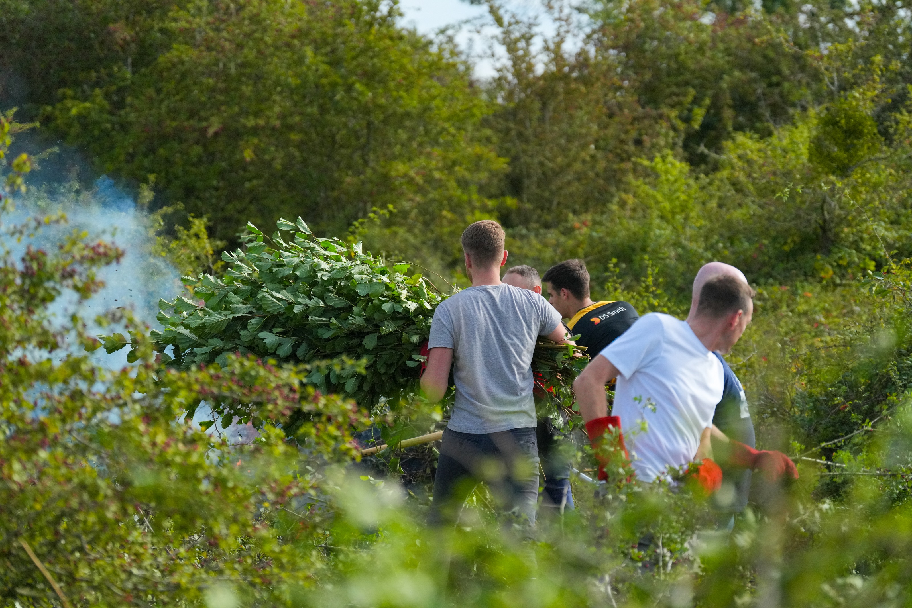 Land Promoter Volunteers at Forest