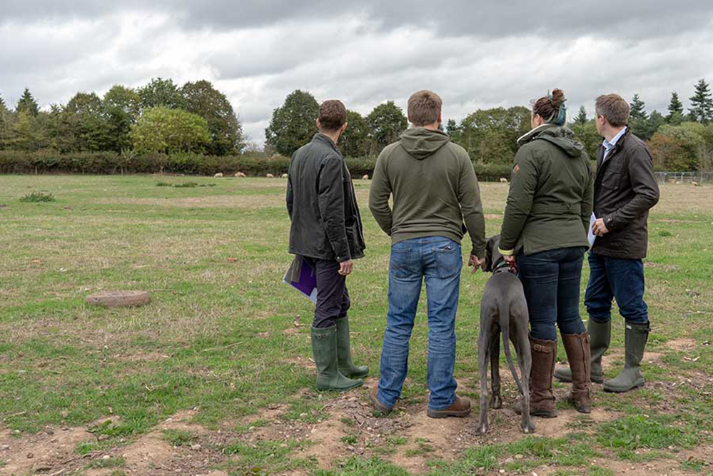 Landowners looking at land promotion